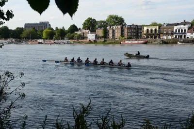 DSC_2504 (Large).JPG